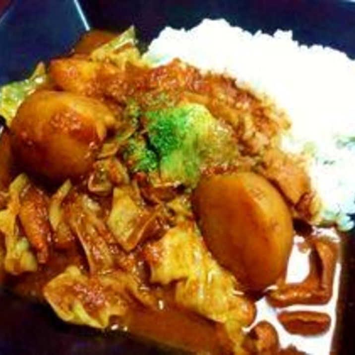 みそ味ホルモンのとろとろカレー 